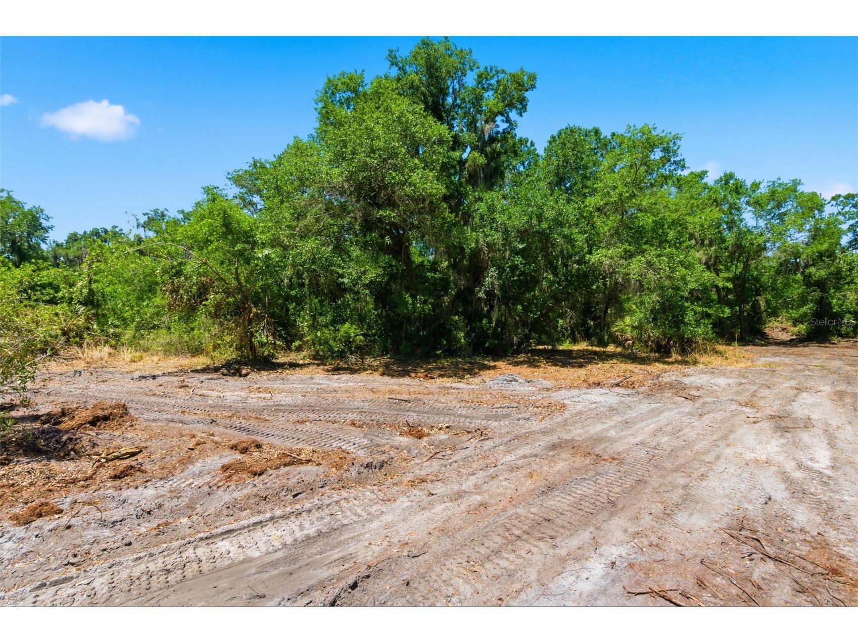 19084 Red Bird Lane #LOT 4 Lithia FL 33547 TB8499530 image6