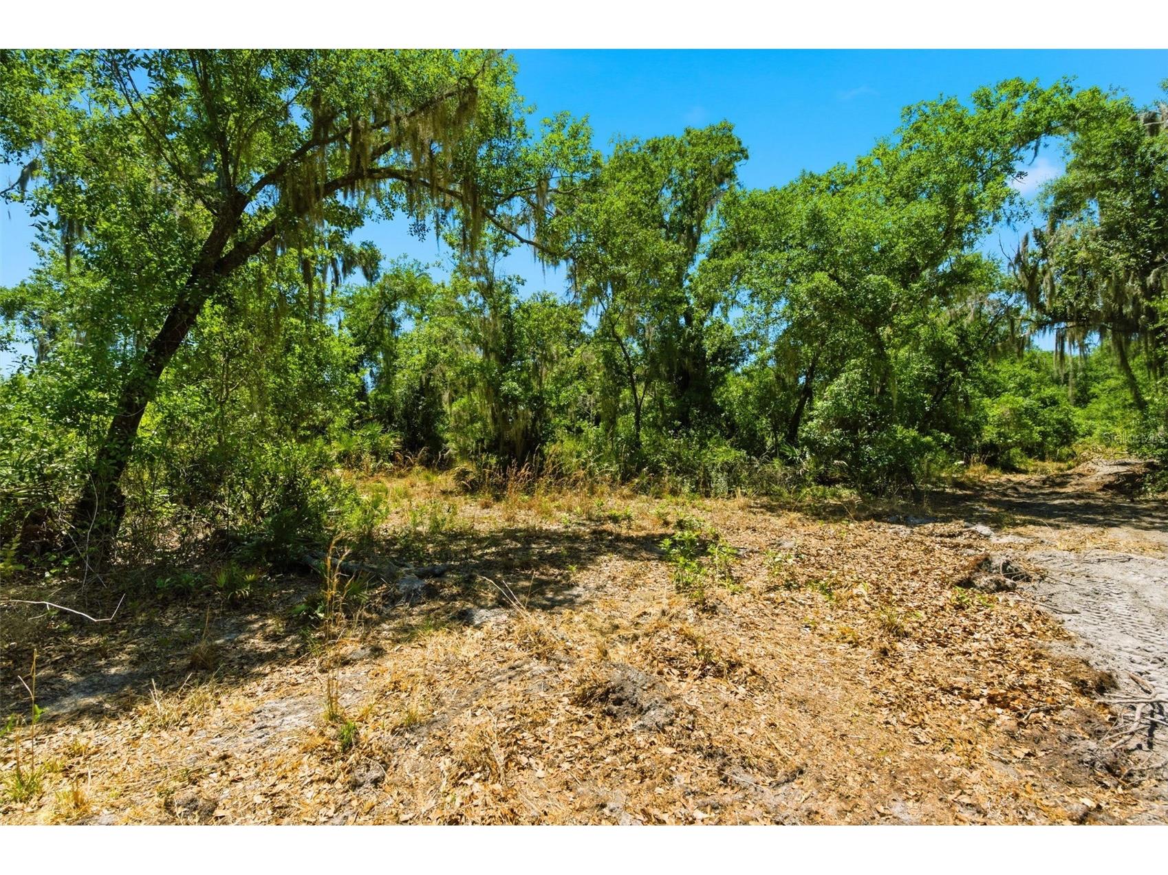 19084 Red Bird Lane #LOT 4 Lithia FL 33547 TB8499530 image7