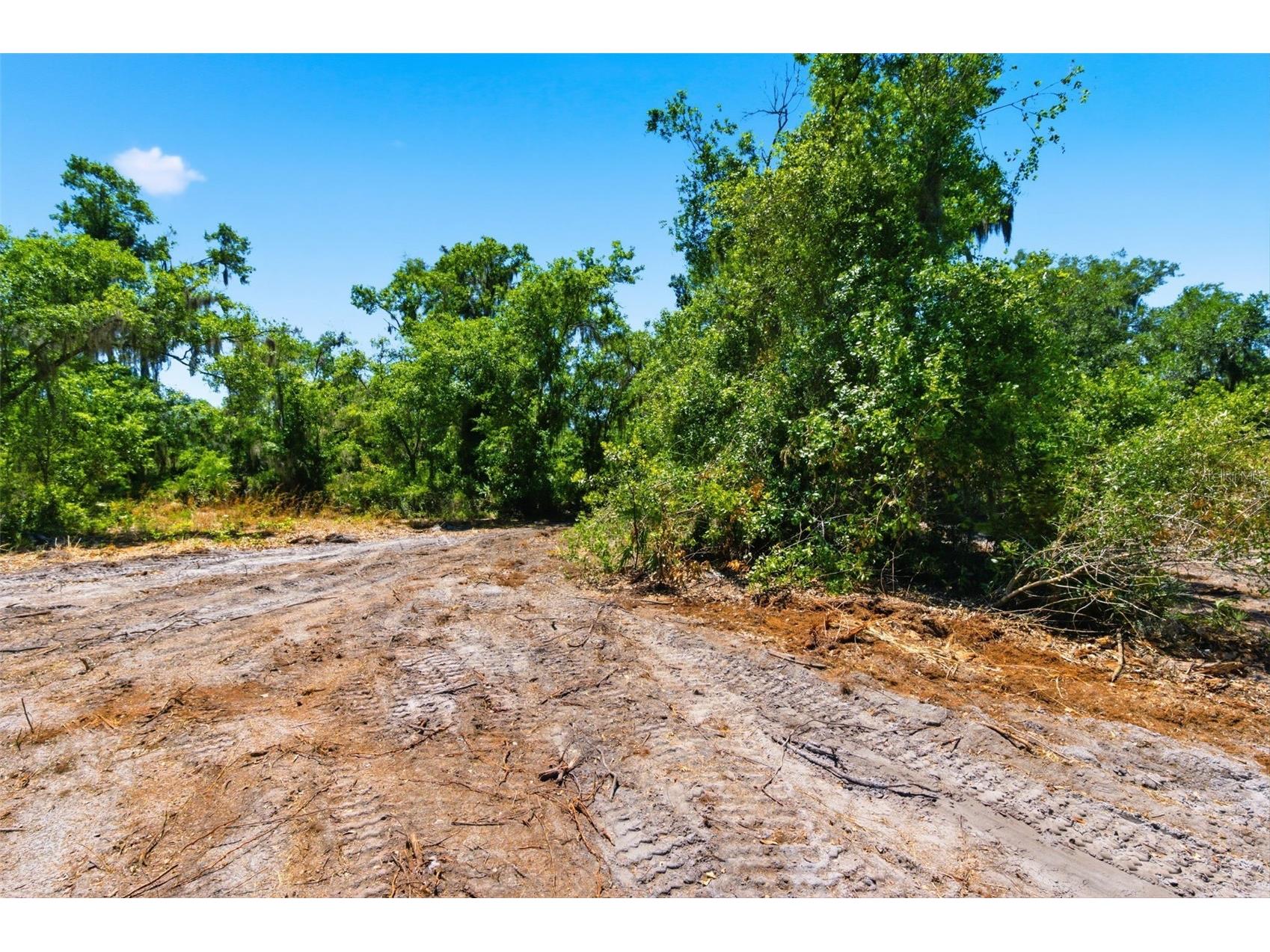 19084 Red Bird Lane #LOT 4 Lithia FL 33547 TB8499530 image8