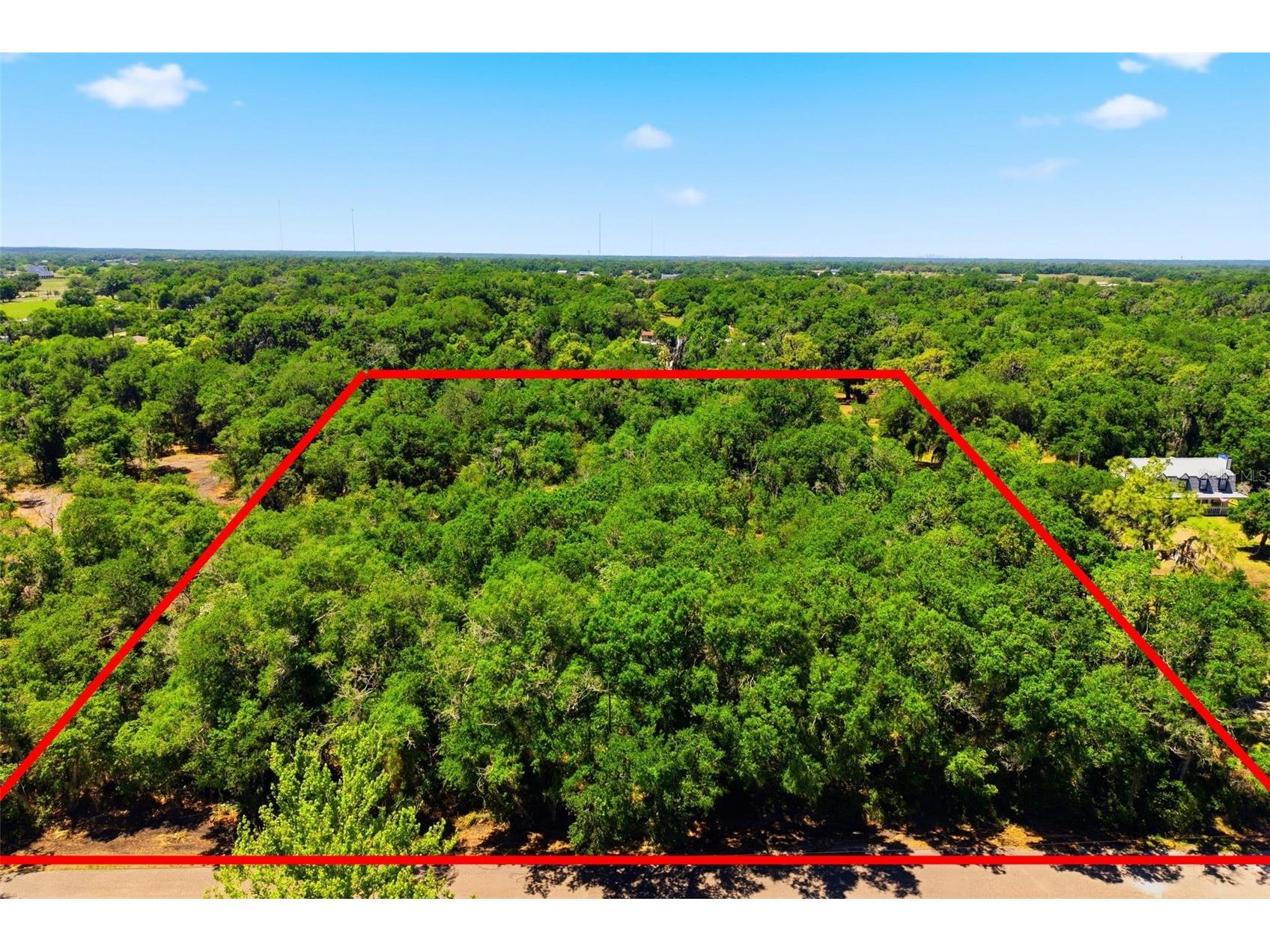 19084 Red Bird Lane #LOT 5 Lithia FL 33547 TB8499513 image5