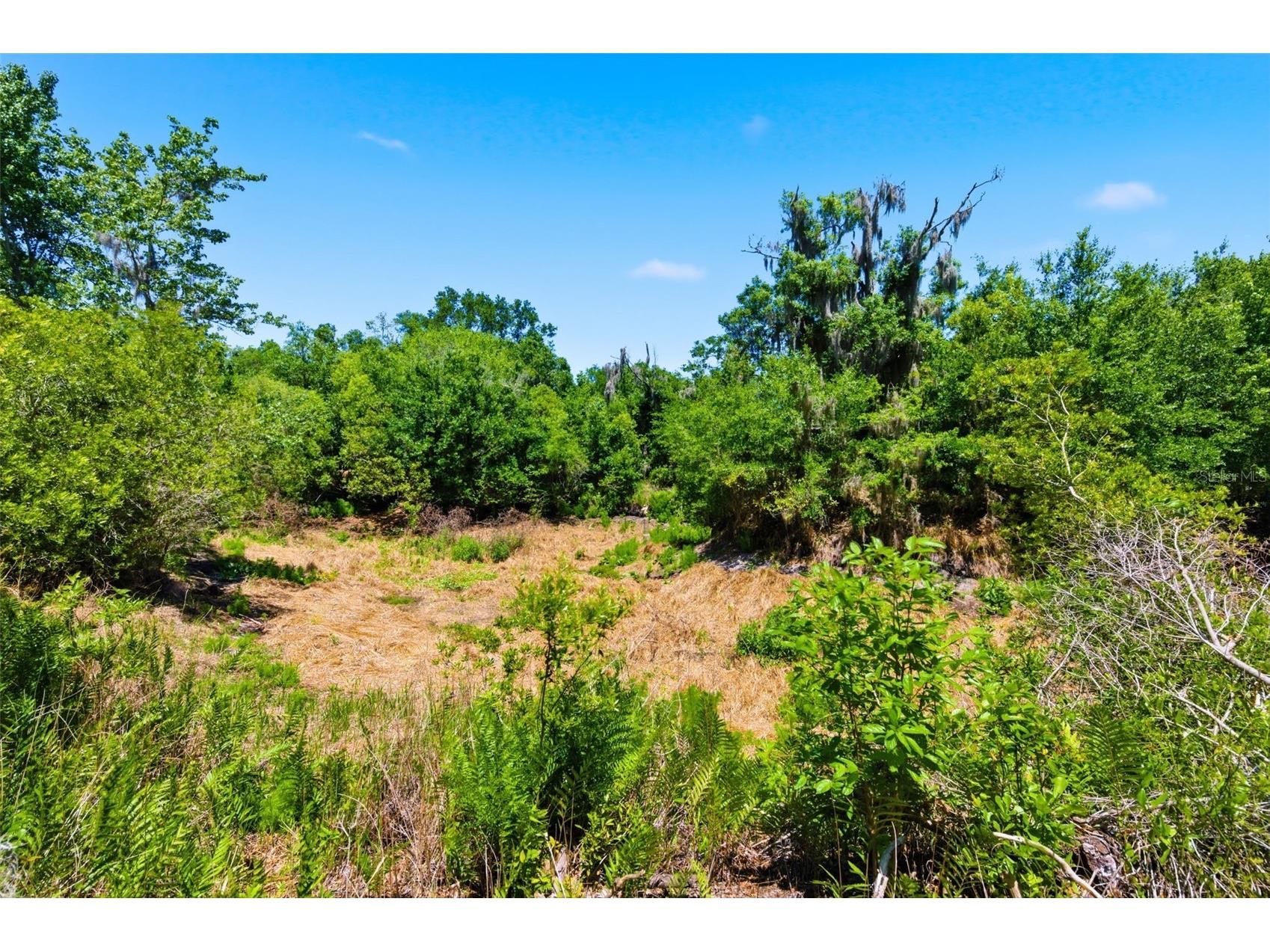 19084 Red Bird Lane #LOT 5 Lithia FL 33547 TB8499513 image8