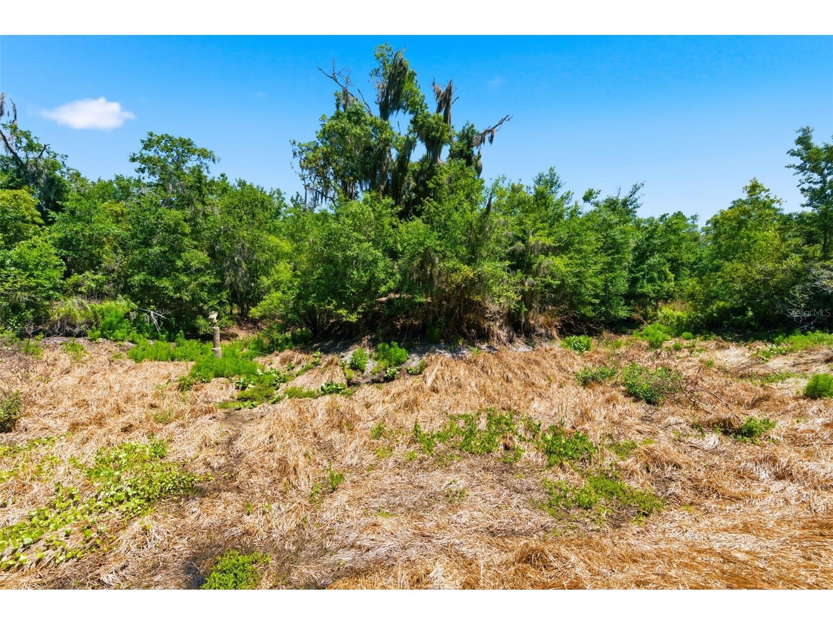 19084 Red Bird Lane #LOT 5 Lithia FL 33547 TB8499513 image9