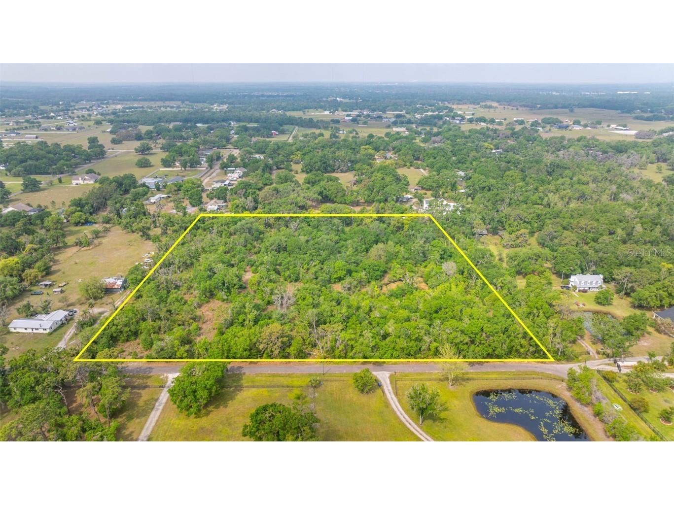 19084 Red Bird Lane Lithia FL 33547 TB8365409 image1