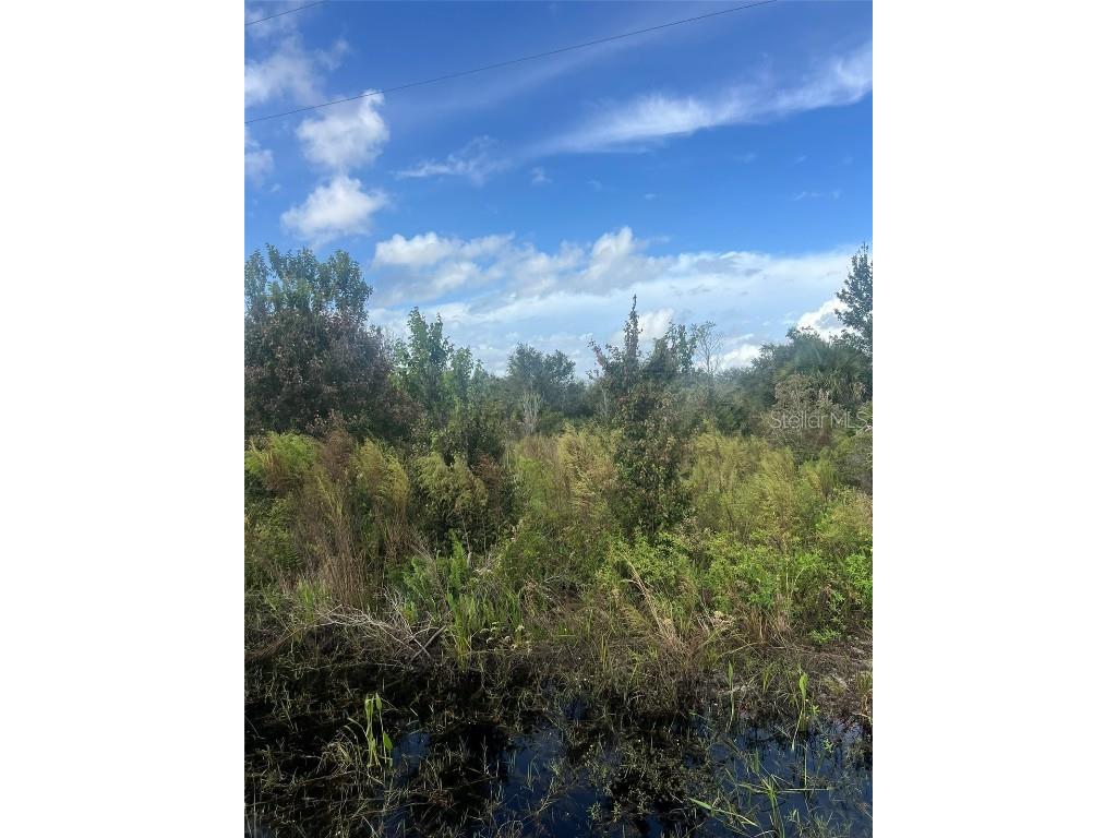 19089 NW 282nd Street Okeechobee FL 34972 OK225691 image2