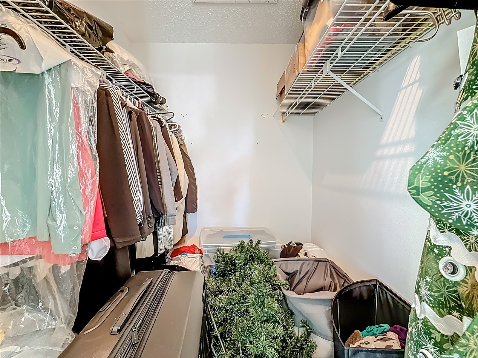 1909 Castle Bay Court Oldsmar FL 34677 TB8436254 image38