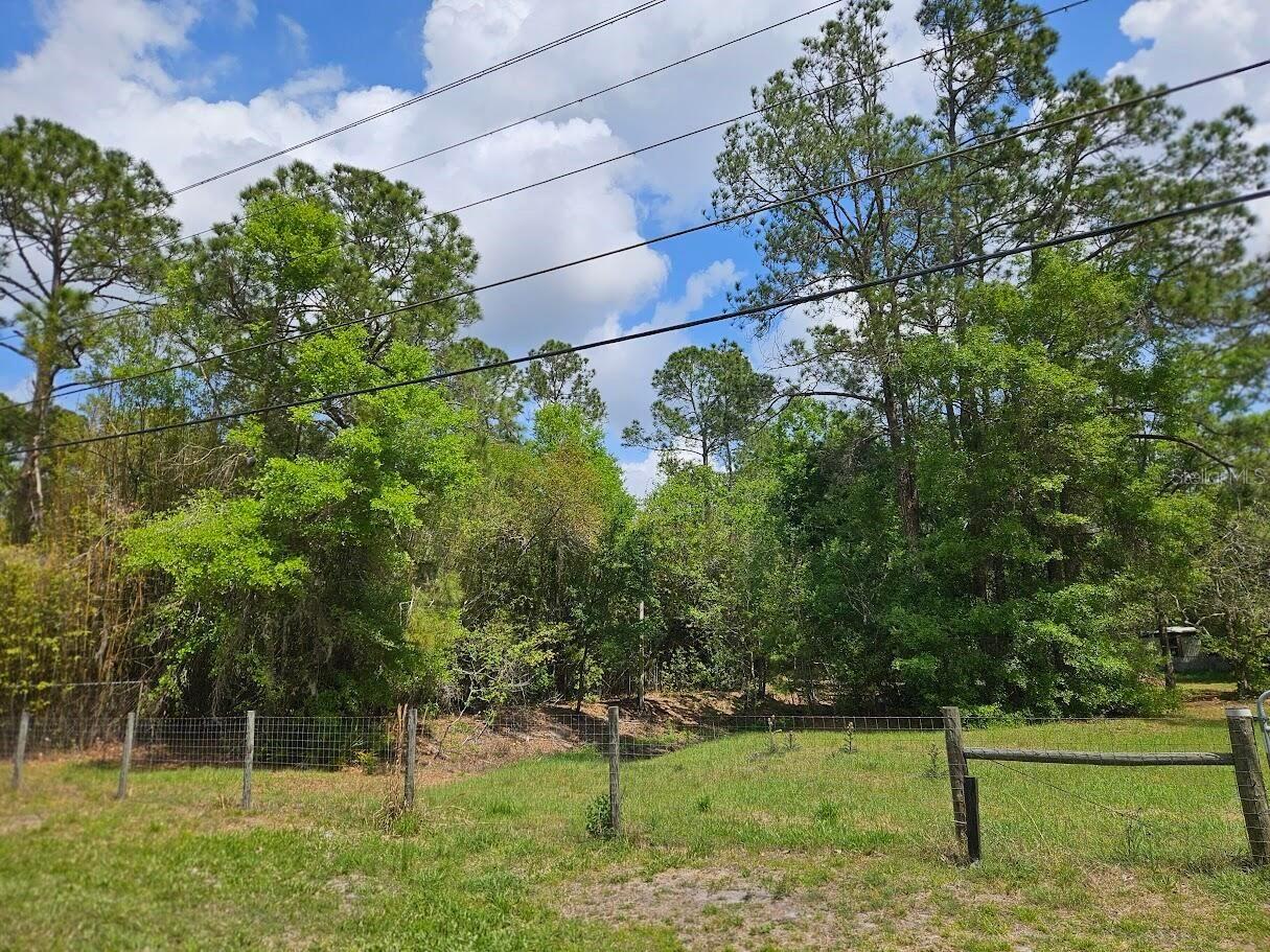 1909 Creekwood Run Lakeland FL 33809 O6398527 image2