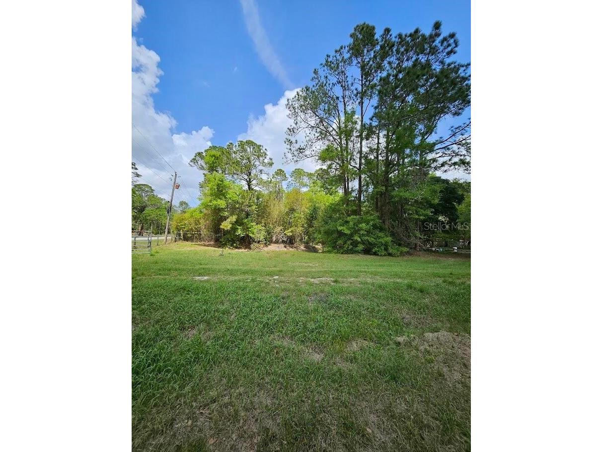 1909 Creekwood Run Lakeland FL 33809 O6398527 image3