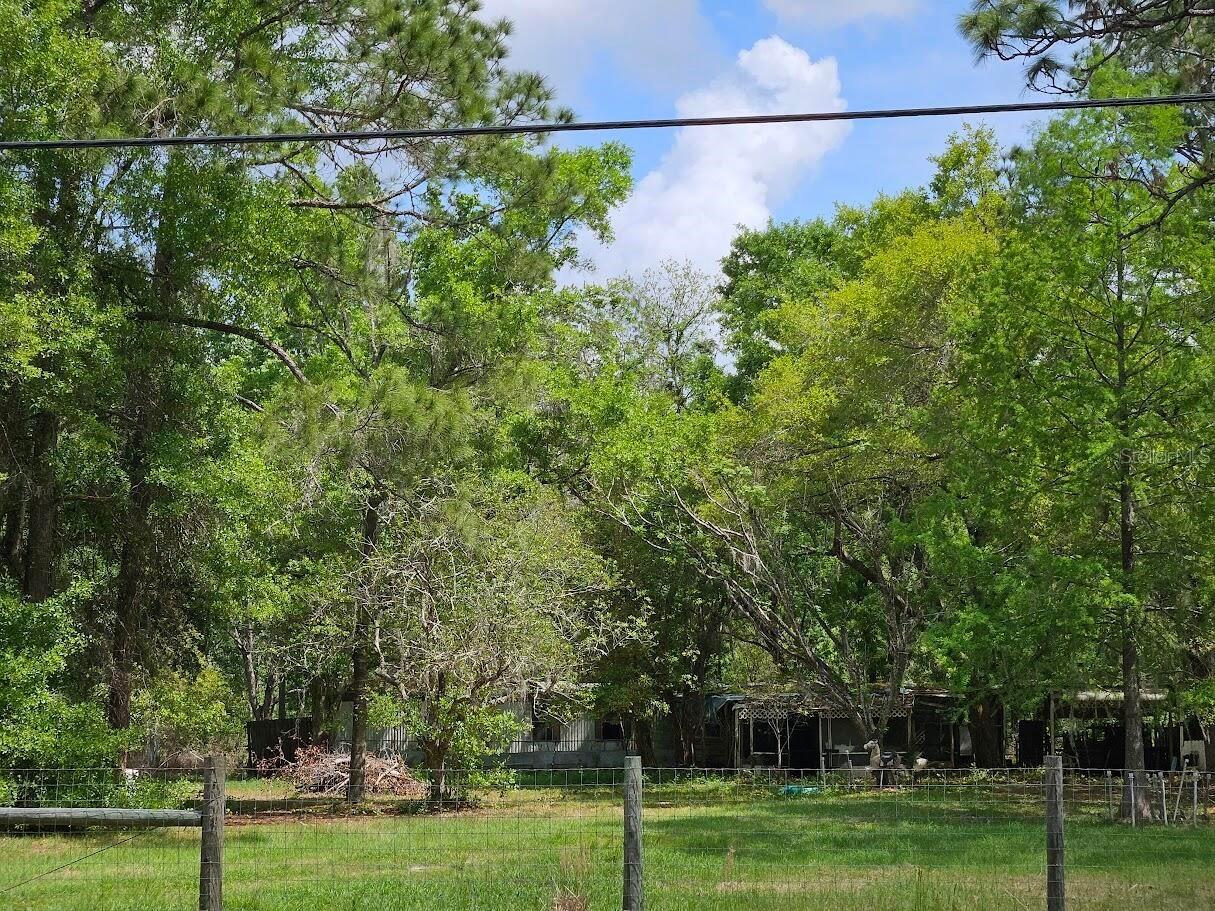 1909 Creekwood Run Lakeland FL 33809 O6398527 image4