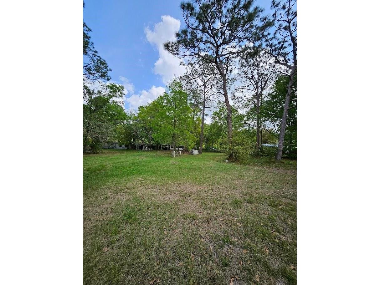 1909 Creekwood Run Lakeland FL 33809 O6398527 image5