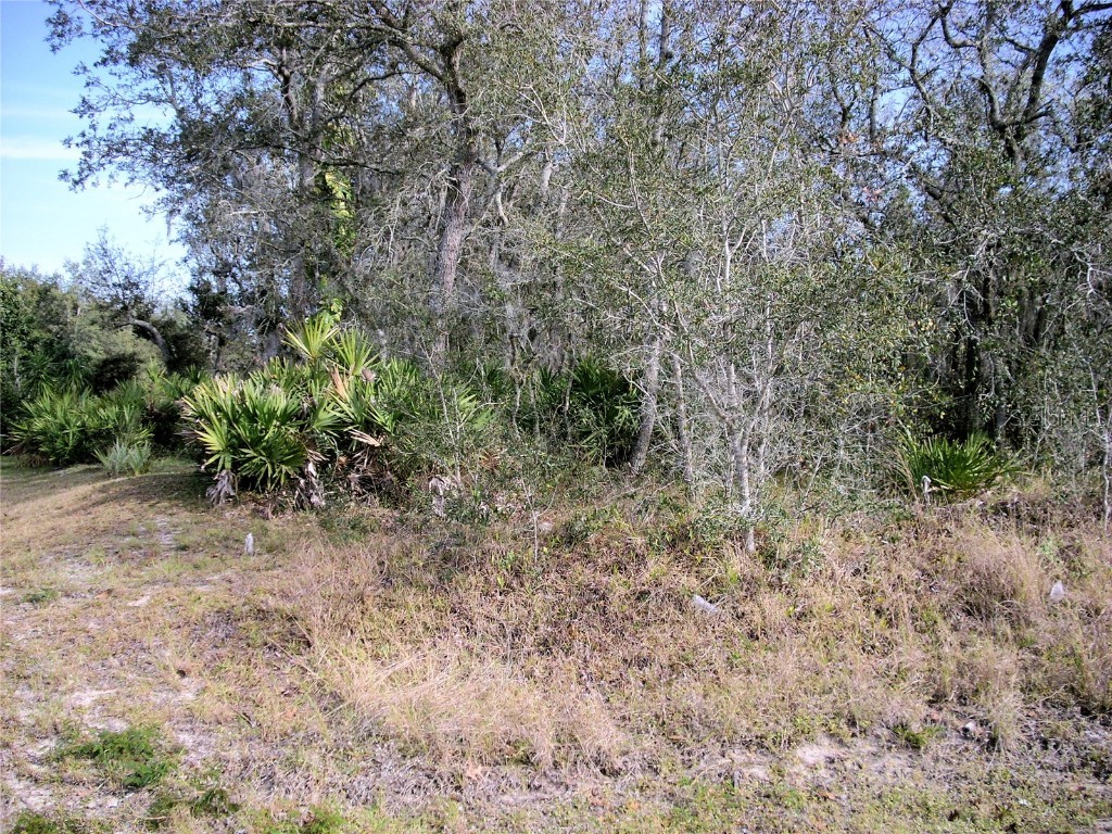 1909 Dolphin Drive Poinciana FL 34759 S5100457 image1