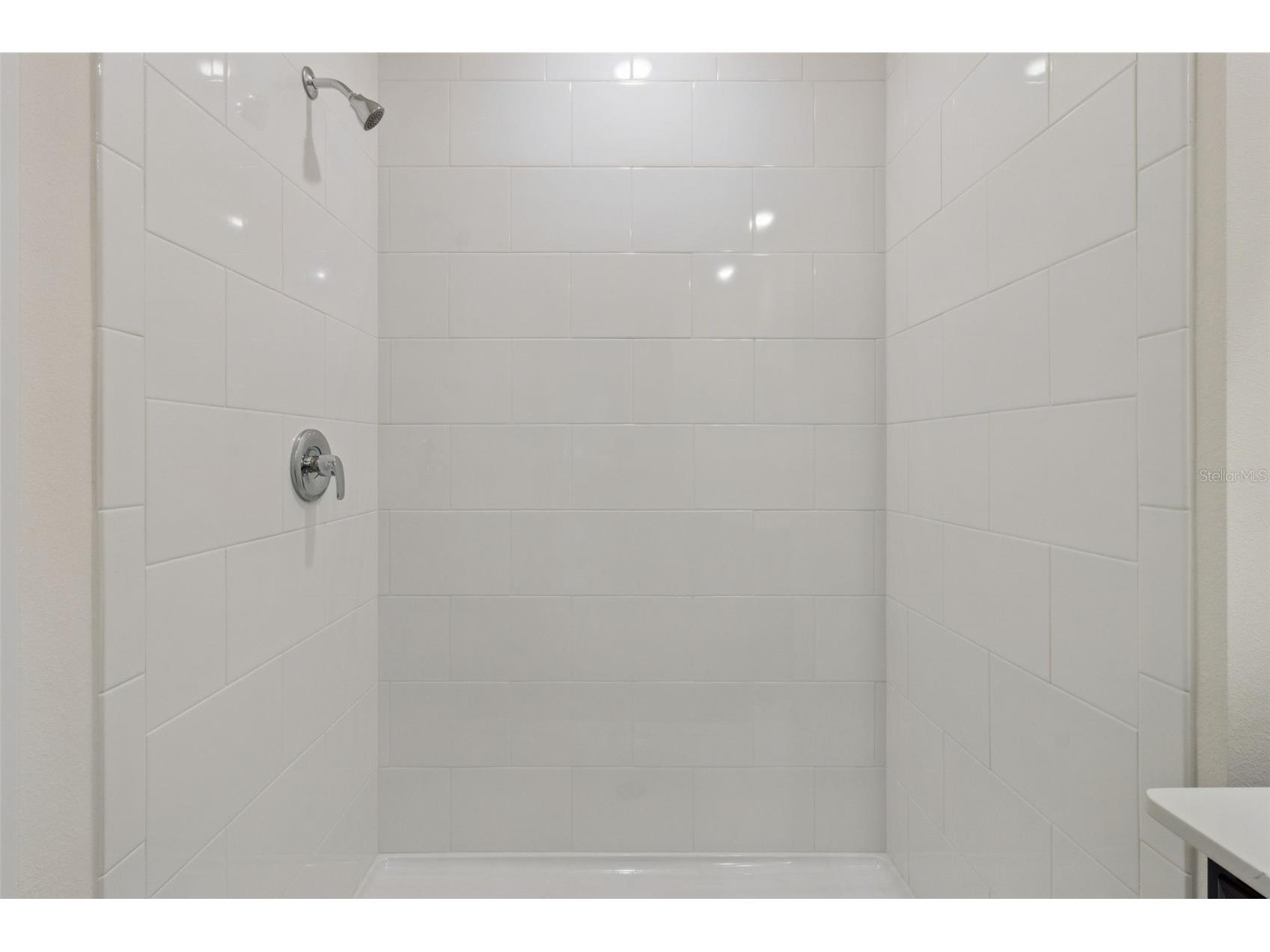 1909 Howard Mesa Drive Kissimmee FL 34744 O6422957 image31