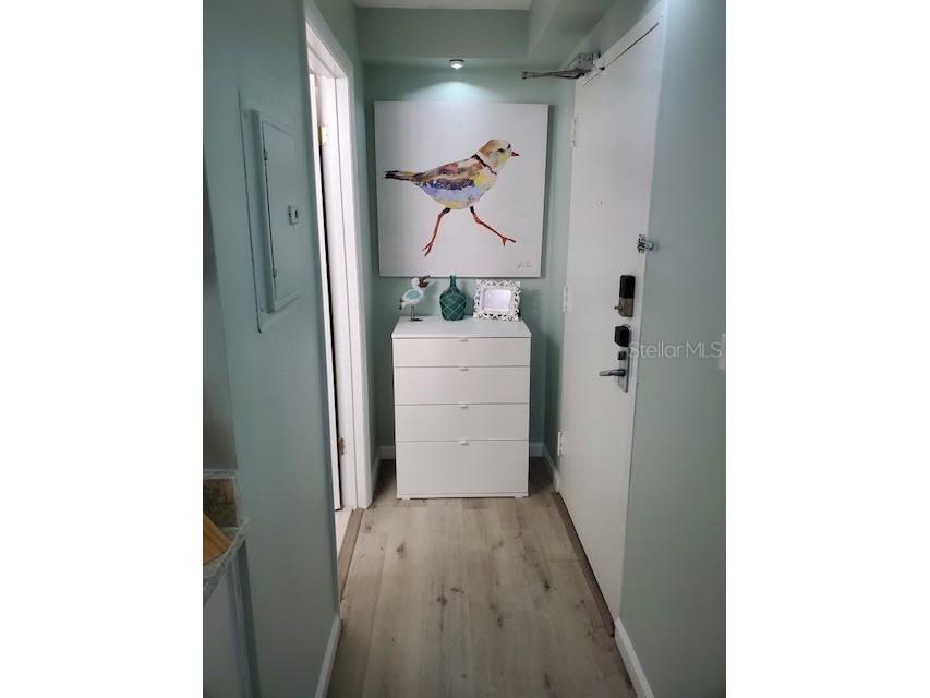 1909 S Atlantic Avenue #602 Daytona Beach FL 32118 NS1084788 image12