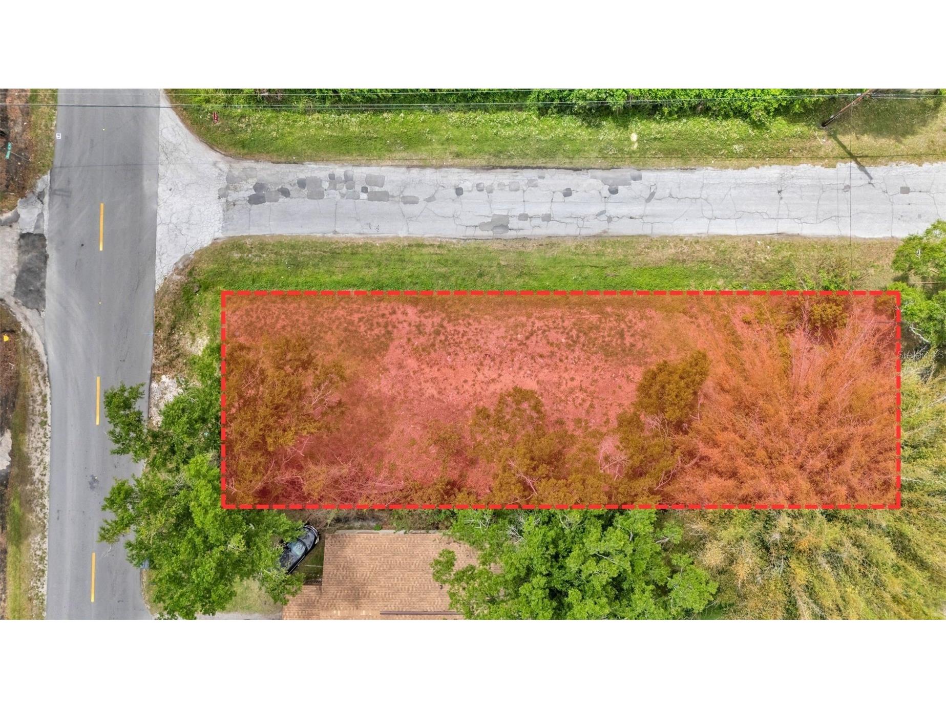 1909 W Patterson Street Lakeland FL 33815 L4960919 image1