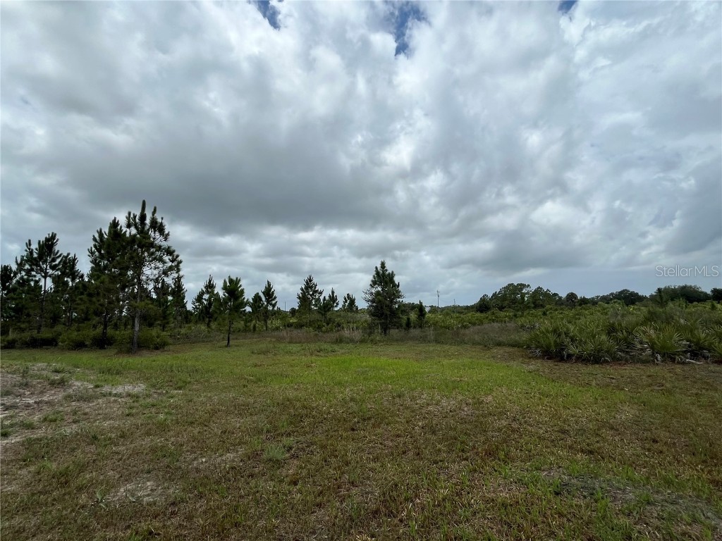 19092 NW 250th Street Okeechobee FL 34972 OK225479 image8