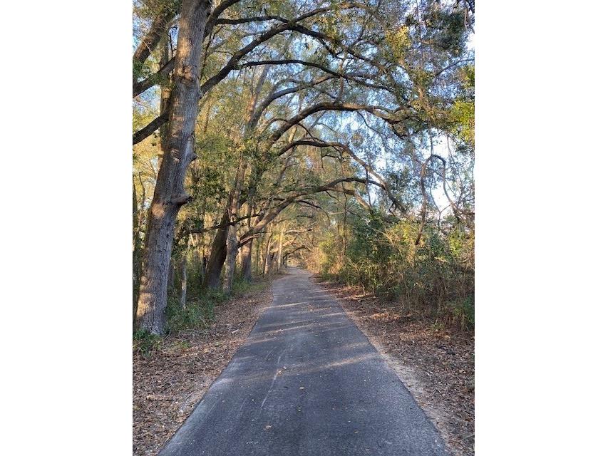 19092 SW 21st Place Newberry FL 32669 GC524441 image10