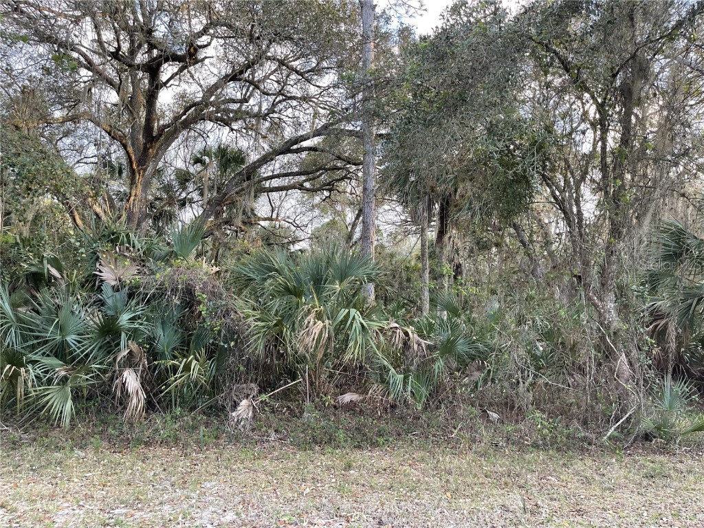 19099 Ridgedale Avenue Port Charlotte FL 33954 C7456787 image1