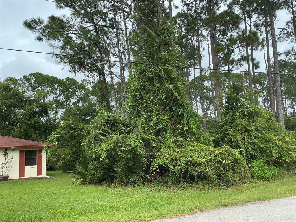 191 Boulder Rock Drive Palm Coast FL 32137 OM710201 image3