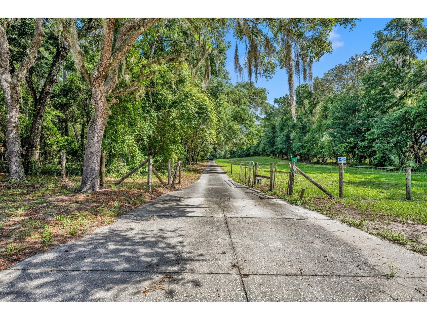 191 E Ponkan Road Apopka FL 32712 O6212327 image10