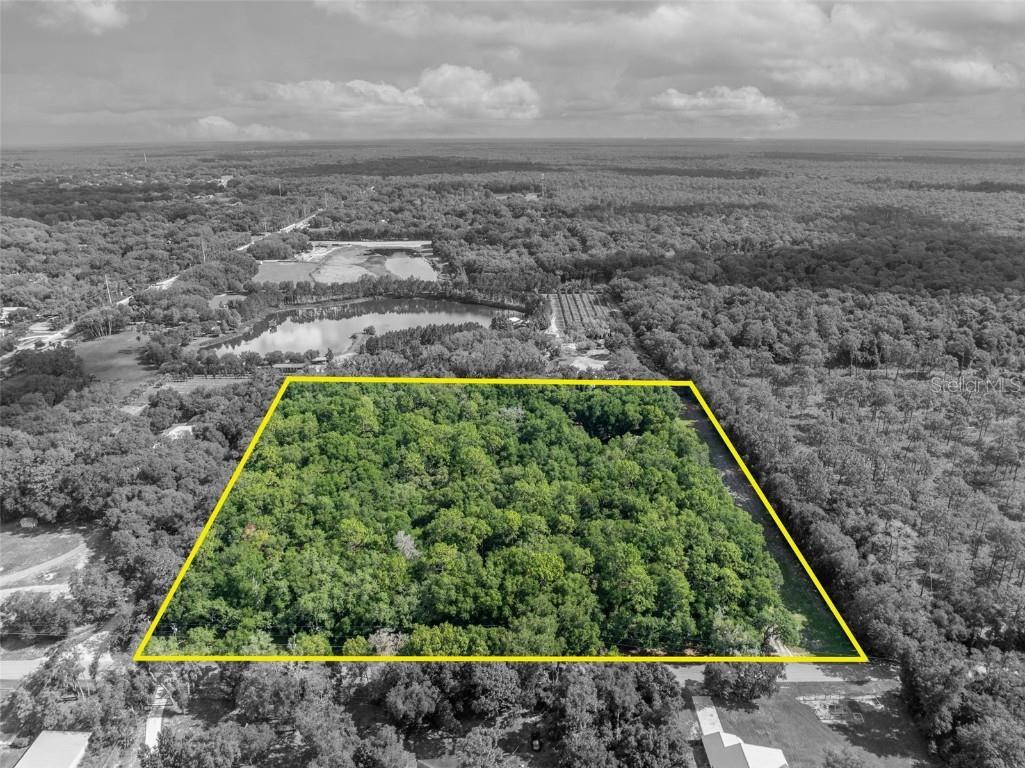 191 E Ponkan Road Apopka FL 32712 O6279874 image2