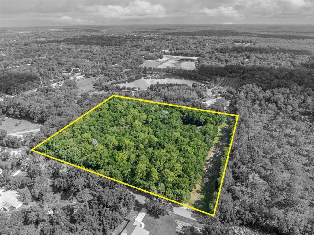 191 E Ponkan Road Apopka FL 32712 O6279874 image3