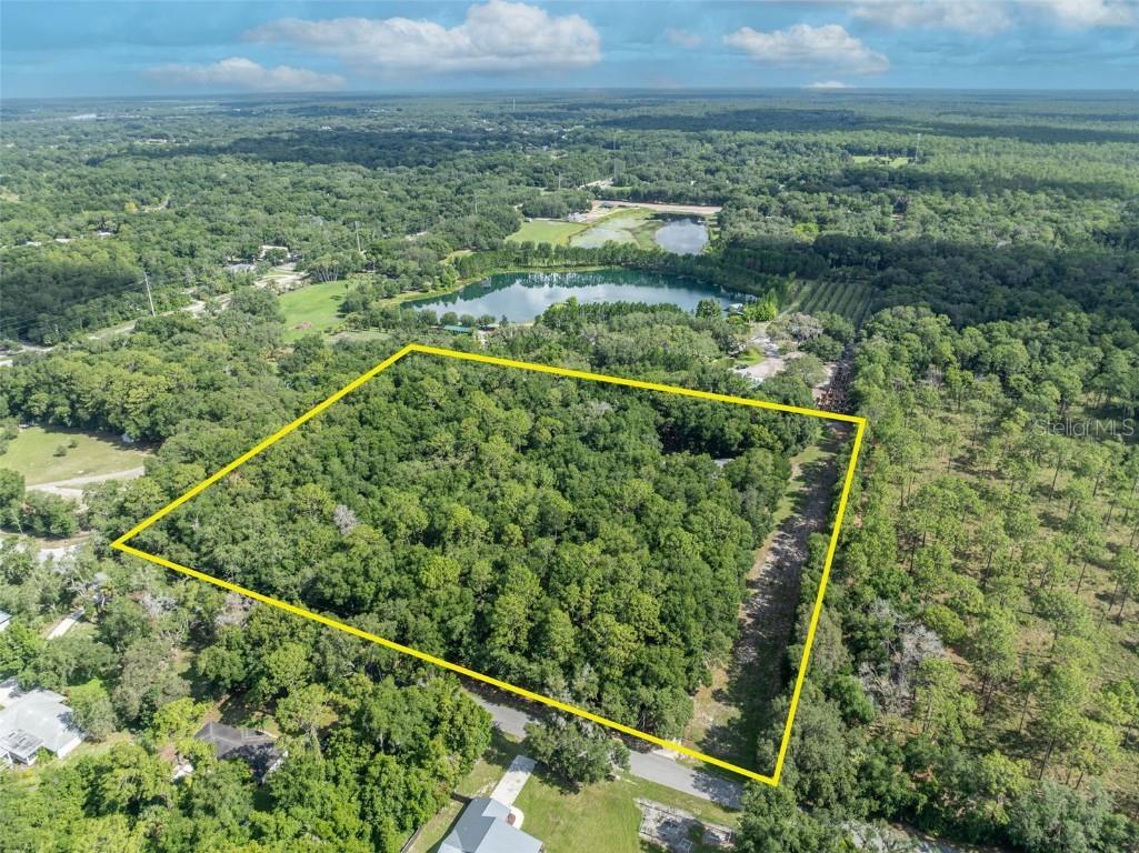 191 E Ponkan Road Apopka FL 32712 O6279874 image4