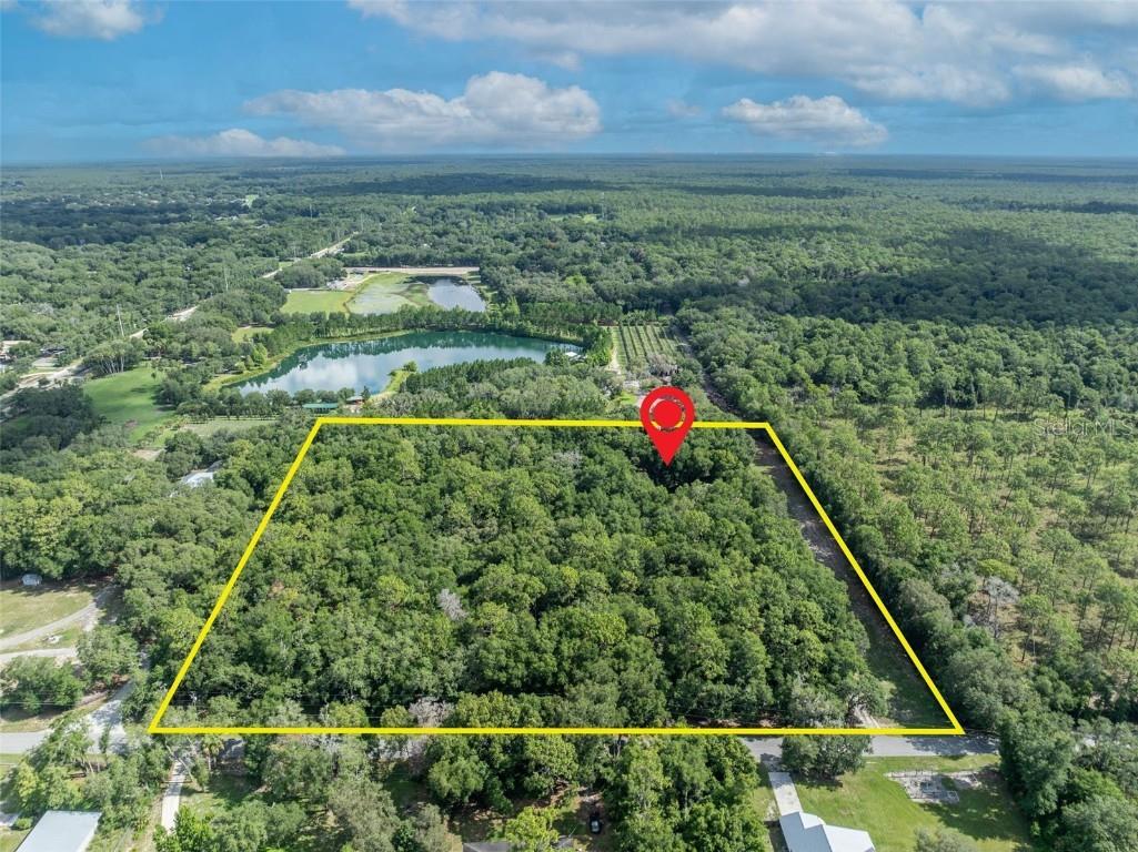 191 E Ponkan Road Apopka FL 32712 O6279874 image5