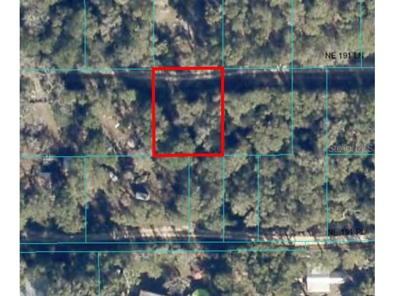191 Ne Lane Fort Mc Coy FL 32134 C7481172 image1