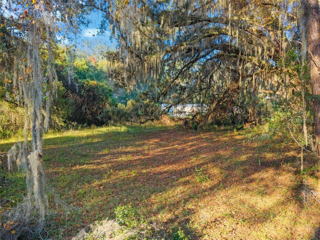 191 Slaughter Road Palatka FL 32177 GC535662 image54