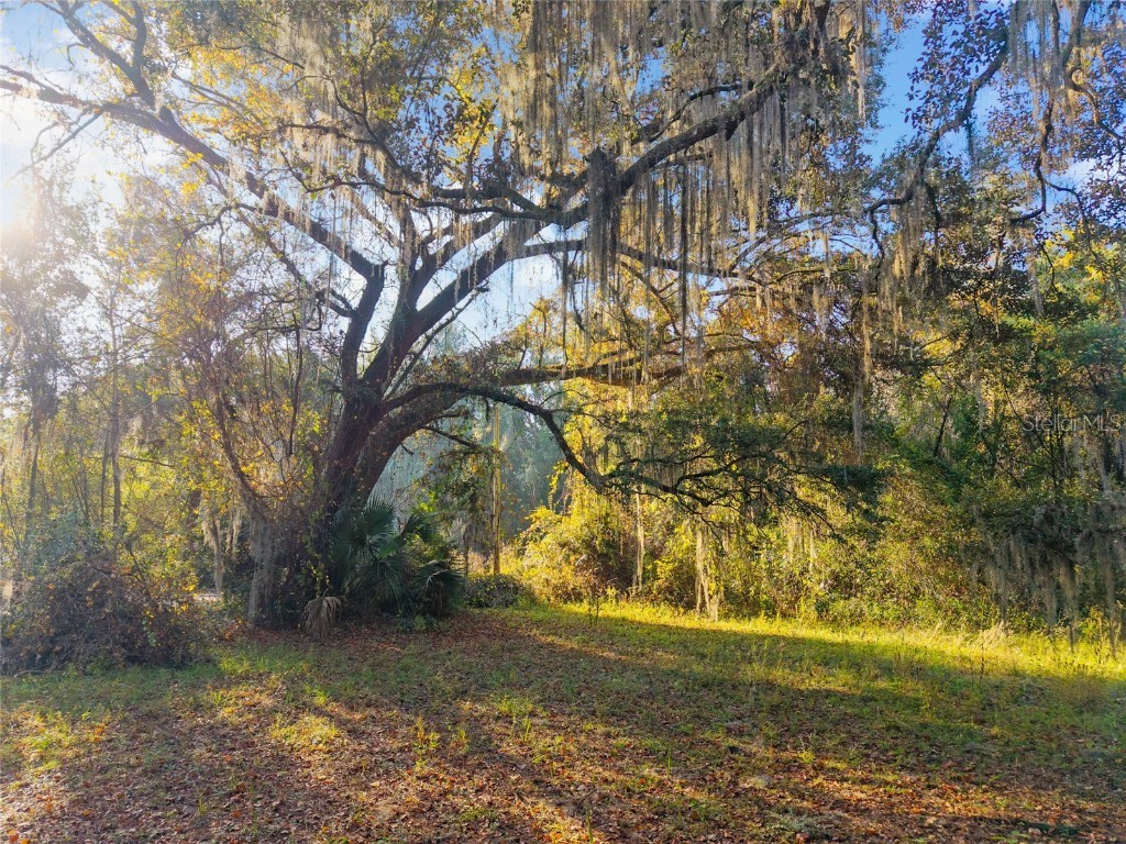 191 Slaughter Road Palatka FL 32177 GC535662 image55