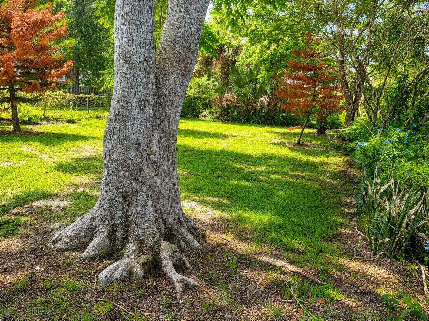 191 W 7th Street Oviedo FL 32766 O6418783 image22