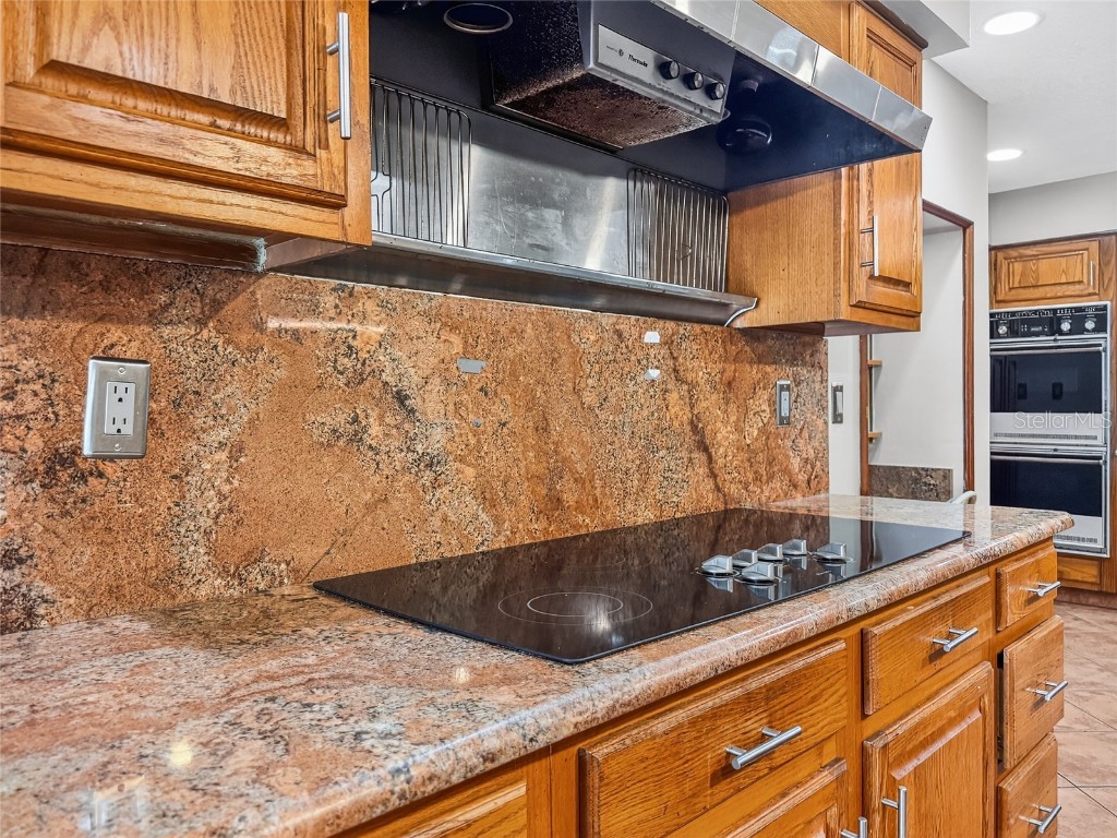 1910 College Park Drive Tavares FL 32778 - LAKE ELSIE RESERVE G5103980 image37