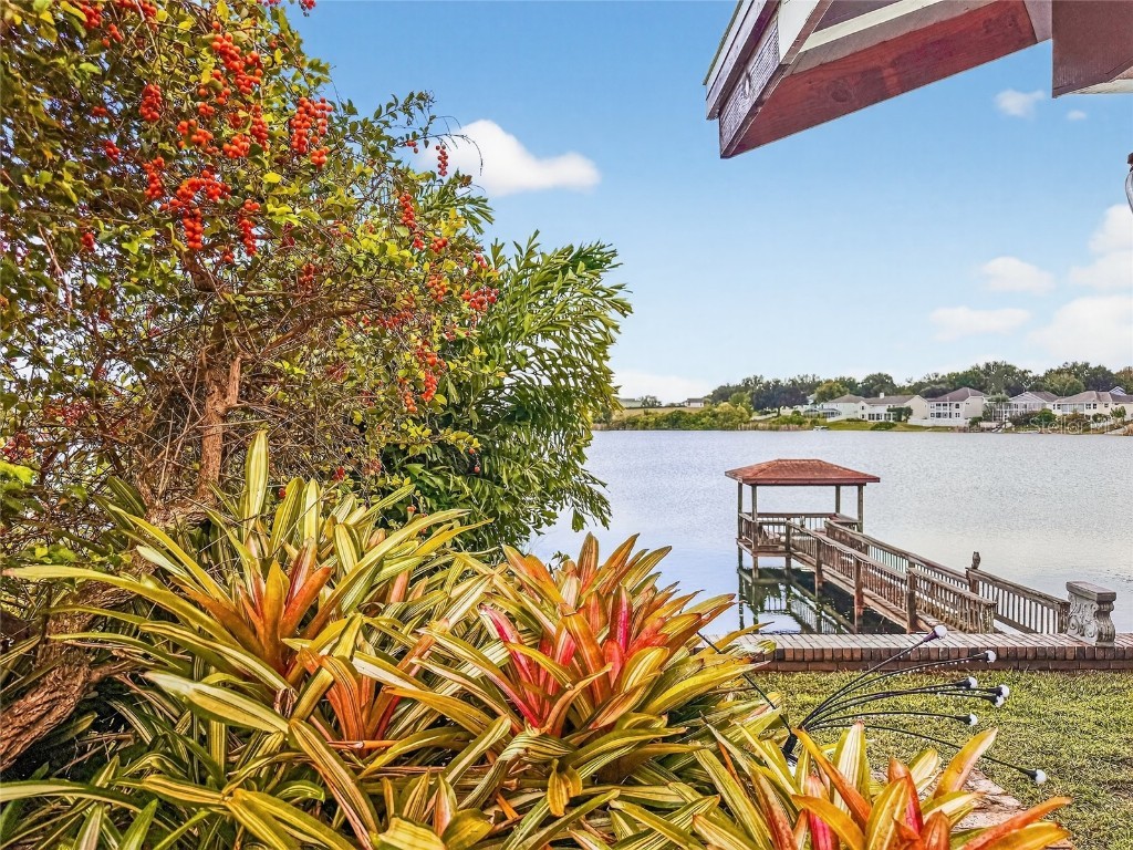 1910 College Park Drive Tavares FL 32778 - LAKE ELSIE RESERVE G5103980 image6