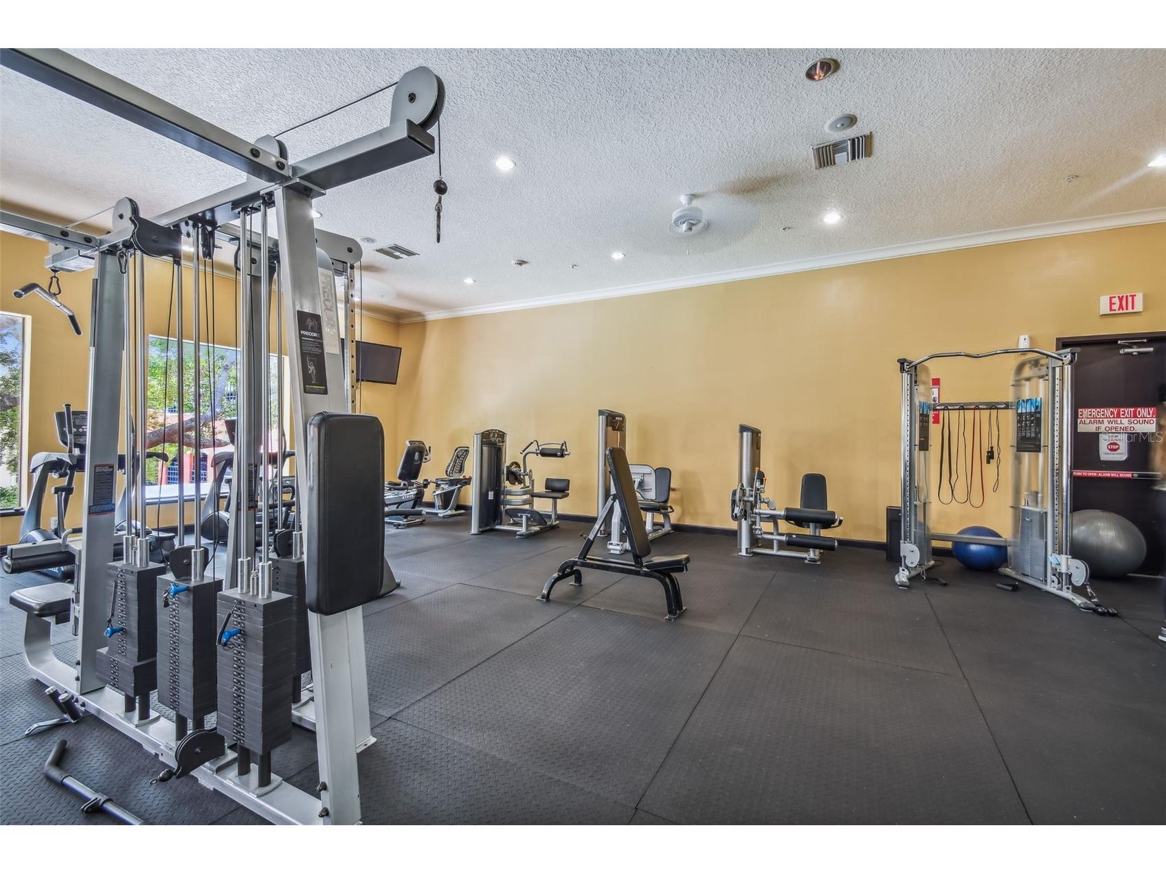 1910 E Palm Avenue #10205 Tampa FL 33605 TB8477136 image53