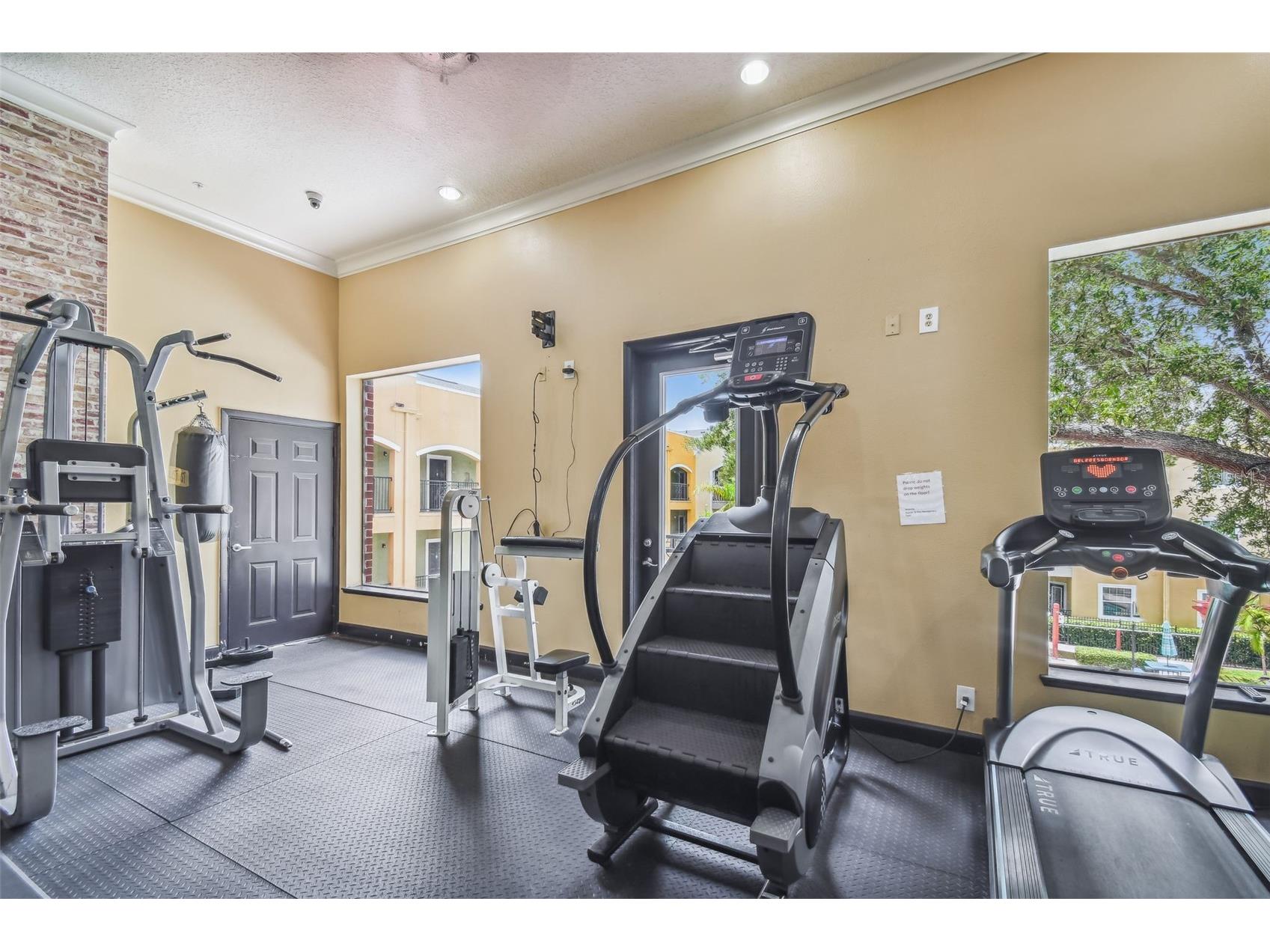 1910 E Palm Avenue #10205 Tampa FL 33605 TB8477136 image54