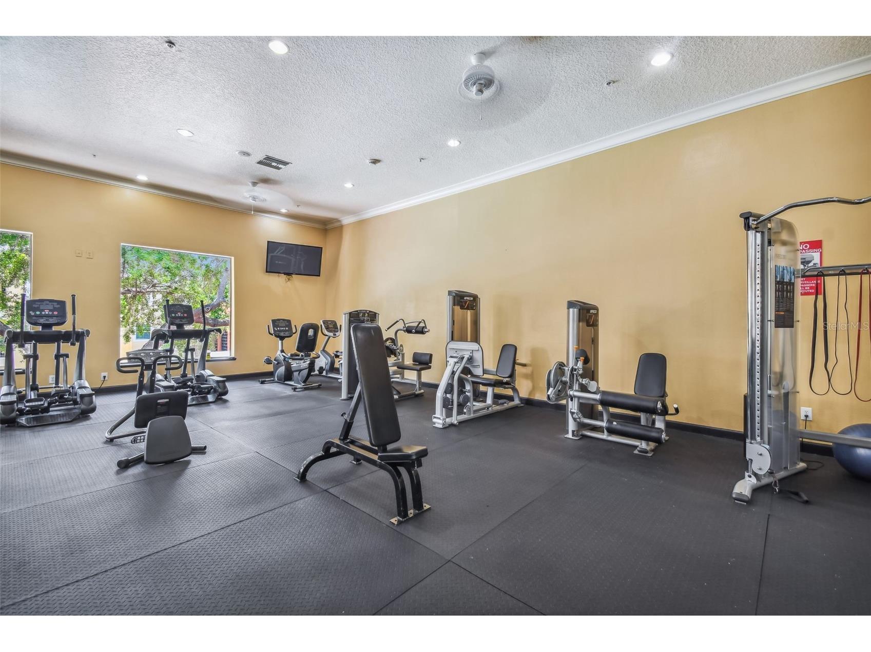 1910 E Palm Avenue #10205 Tampa FL 33605 TB8477136 image55