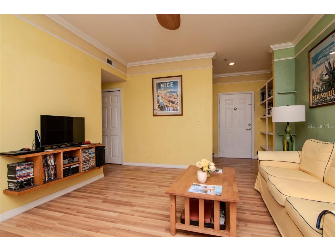 1910 E Palm Avenue #10209 Tampa FL 33605 TB8380545 image6