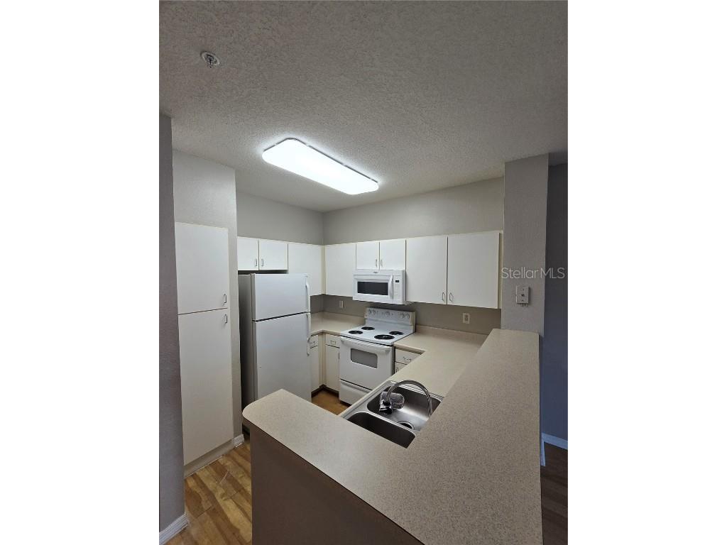 1910 E Palm Avenue #11210 Tampa FL 33605 TB8458295 image12