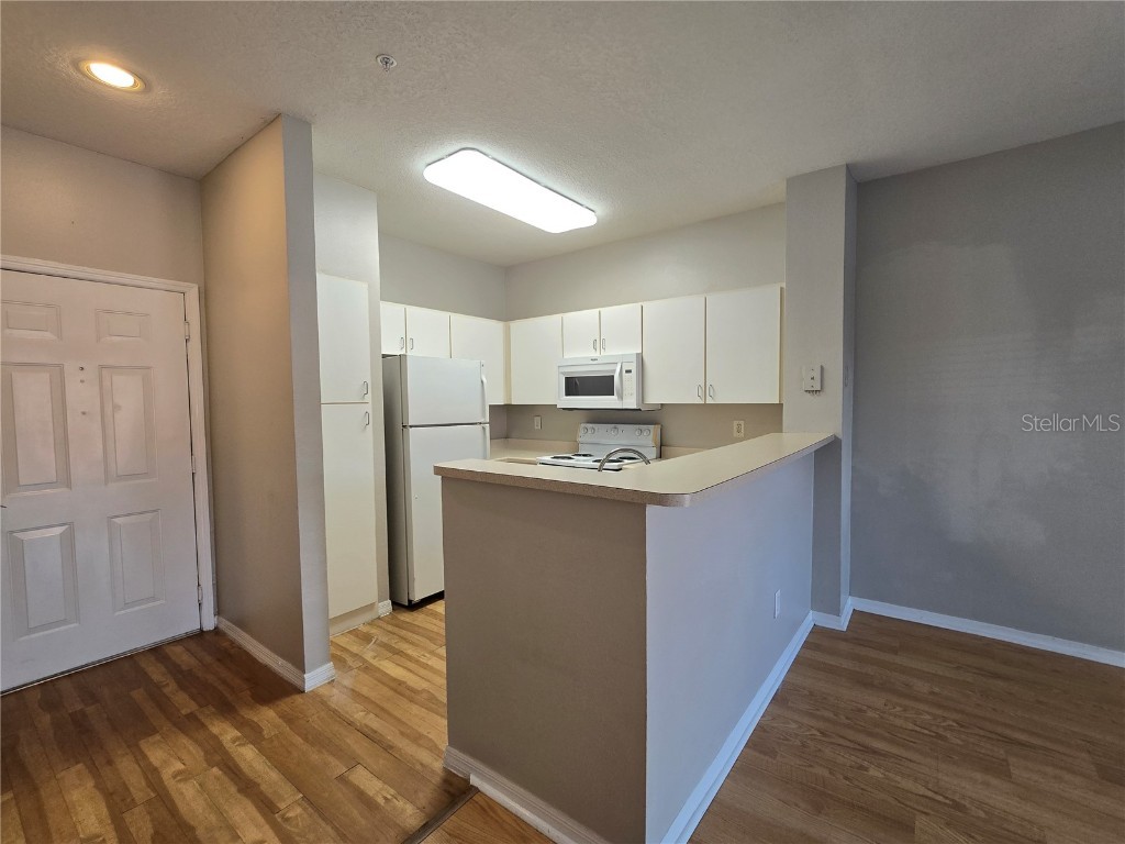 1910 E Palm Avenue #11210 Tampa FL 33605 TB8458295 image14