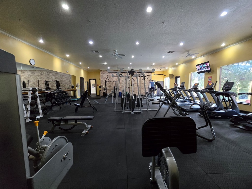 1910 E Palm Avenue #11210 Tampa FL 33605 TB8458295 image47