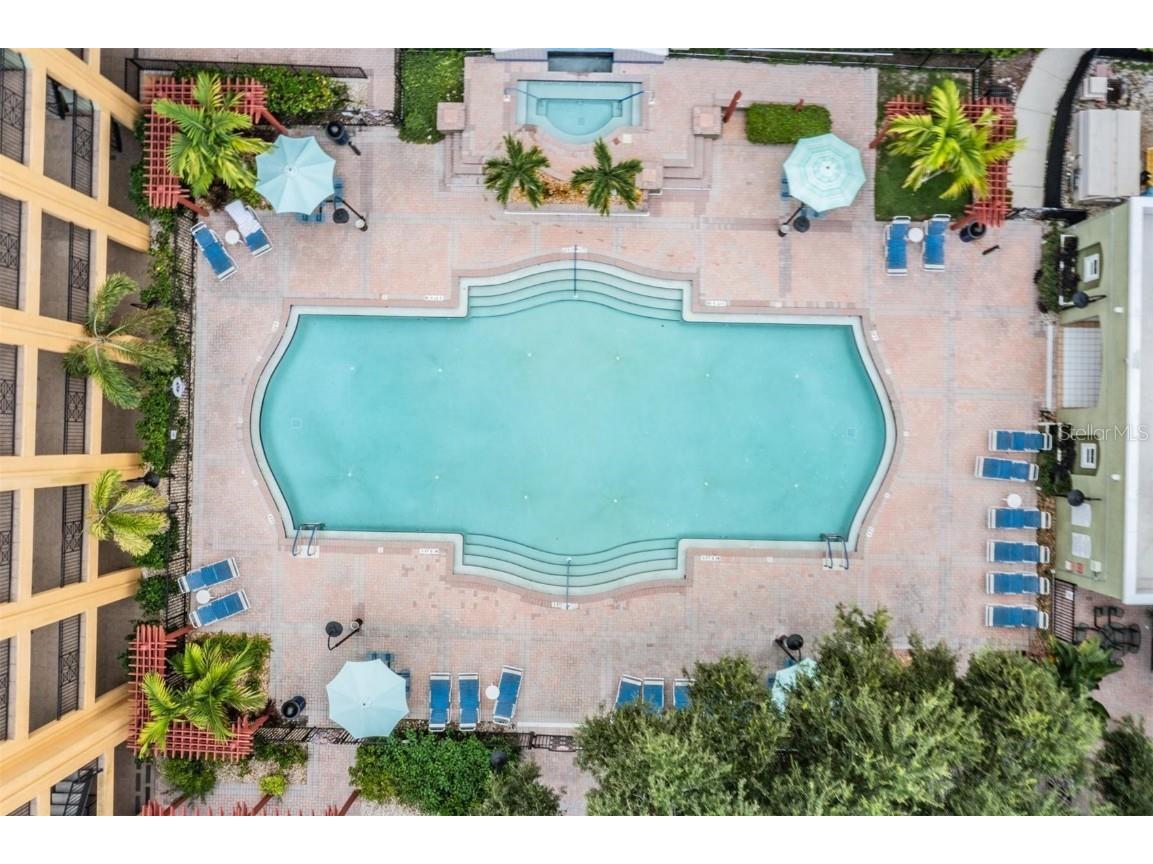 1910 E Palm Avenue #11306 Tampa FL 33605 TB8412371 image22