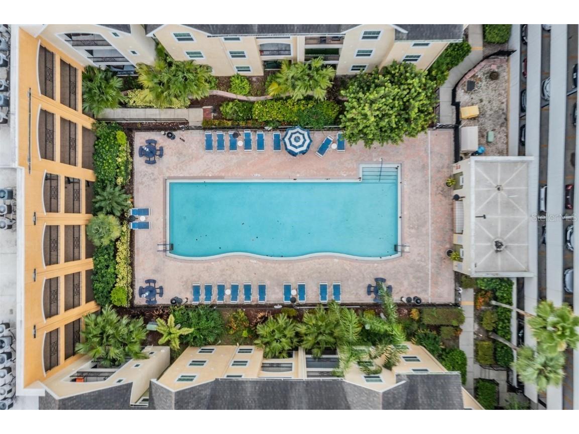 1910 E Palm Avenue #11306 Tampa FL 33605 TB8412371 image25