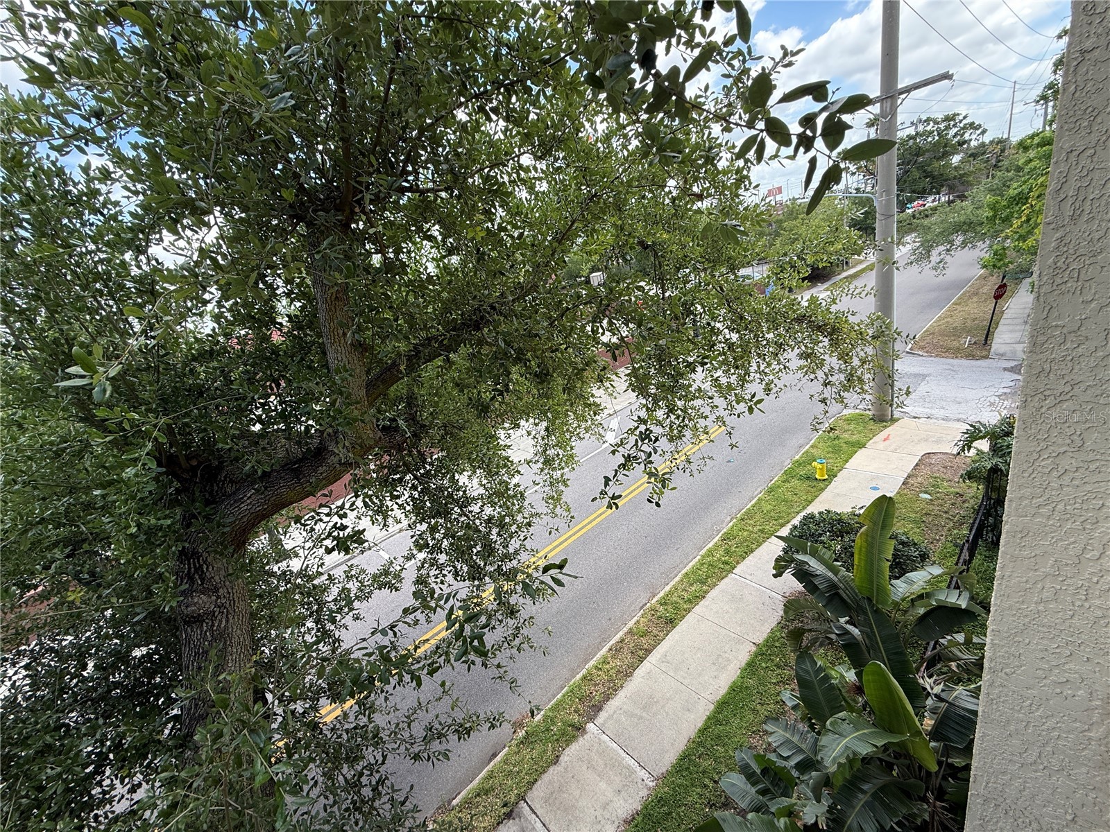1910 E Palm Avenue #11321 Tampa FL 33605 TB8508300 image35