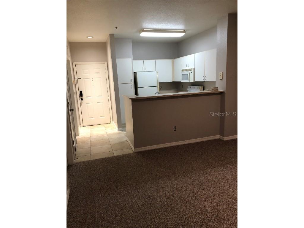 1910 E Palm Avenue #8206 Tampa FL 33605 TB8451994 image10
