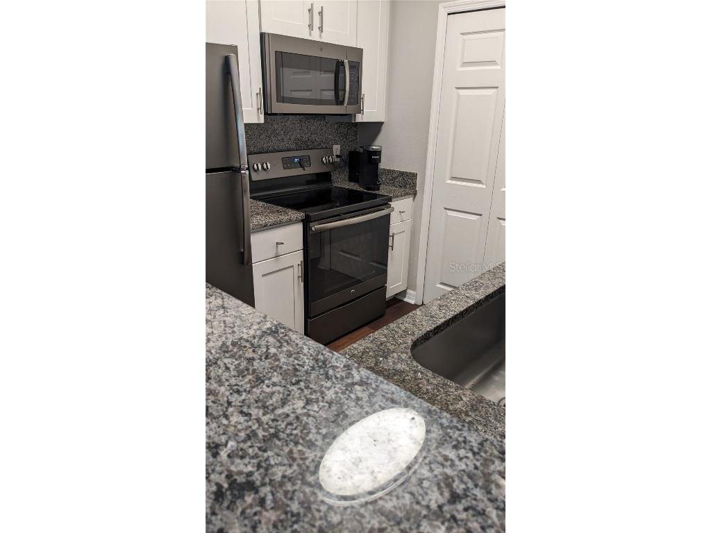 1910 E Palm Avenue #8211 Tampa FL 33605 TB8399865 image11