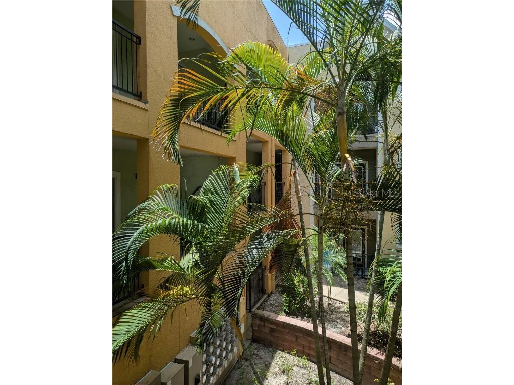 1910 E Palm Avenue #8211 Tampa FL 33605 TB8399865 image28