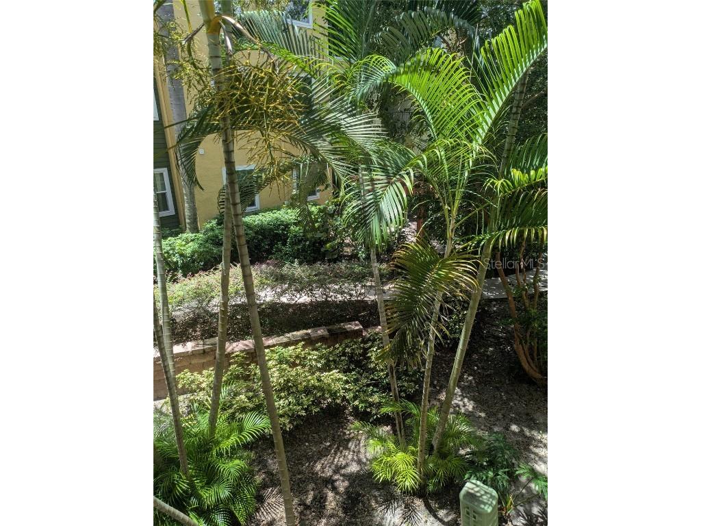 1910 E Palm Avenue #8211 Tampa FL 33605 TB8399865 image30