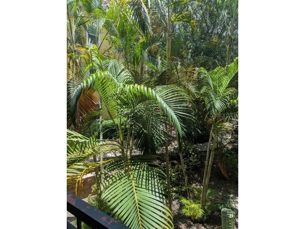 1910 E Palm Avenue #8211 Tampa FL 33605 TB8399865 image31