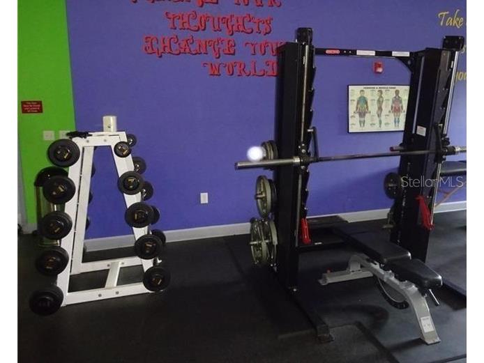 1910 E Palm Avenue #8211 Tampa FL 33605 TB8399865 image36