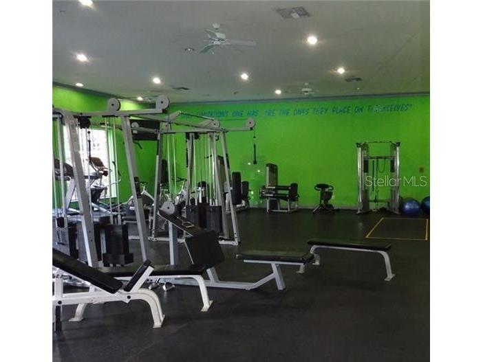 1910 E Palm Avenue #8211 Tampa FL 33605 TB8399865 image37