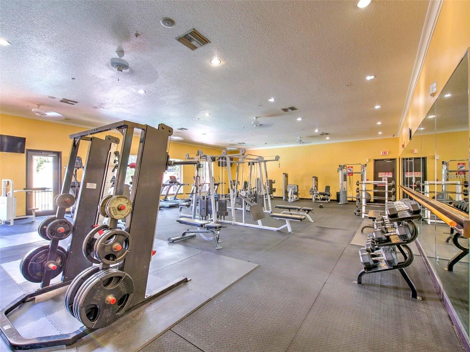 1910 E Palm Avenue #9101 Tampa FL 33605 TB8487729 image30